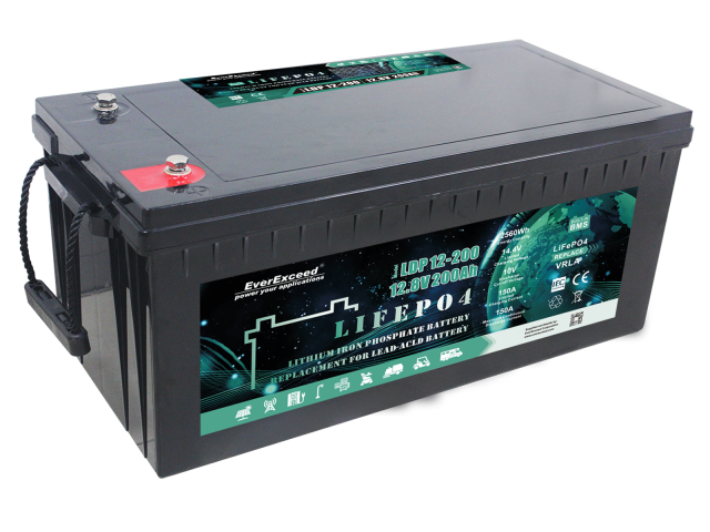 EverExceed LDP 12-200